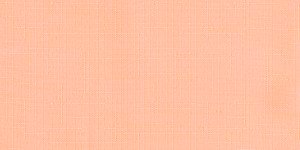 economy no stiro salmone 100% POLIEST - 170 g/m2 antigoccia - Termosaldabile