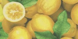 LMN041 limoni PARTE SUPERIORE: 100%CT trattato antimacchia Teflon Du Pont.<br>
PARTE INFERIORE: PVC antiscivolo. 550gr/mq
