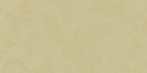 Vanessa BEIGE 17 65% COT 35% POL
